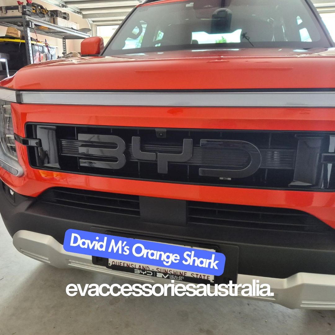 BYD Shark 6 Front Emblem Badge