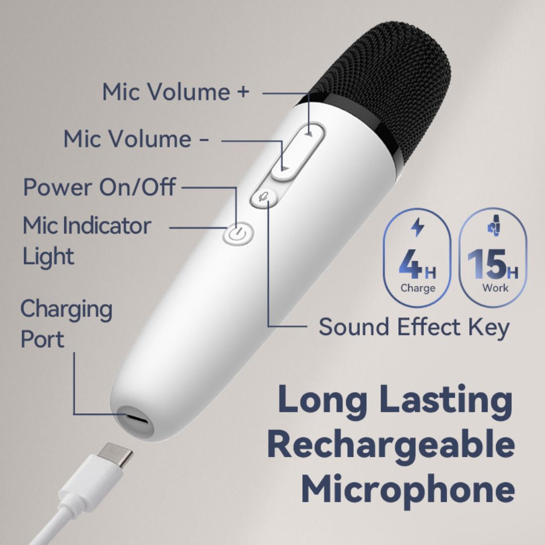 Wireless Karaoke Microphones by LVDonic for Tesla - 2 Microphone Set