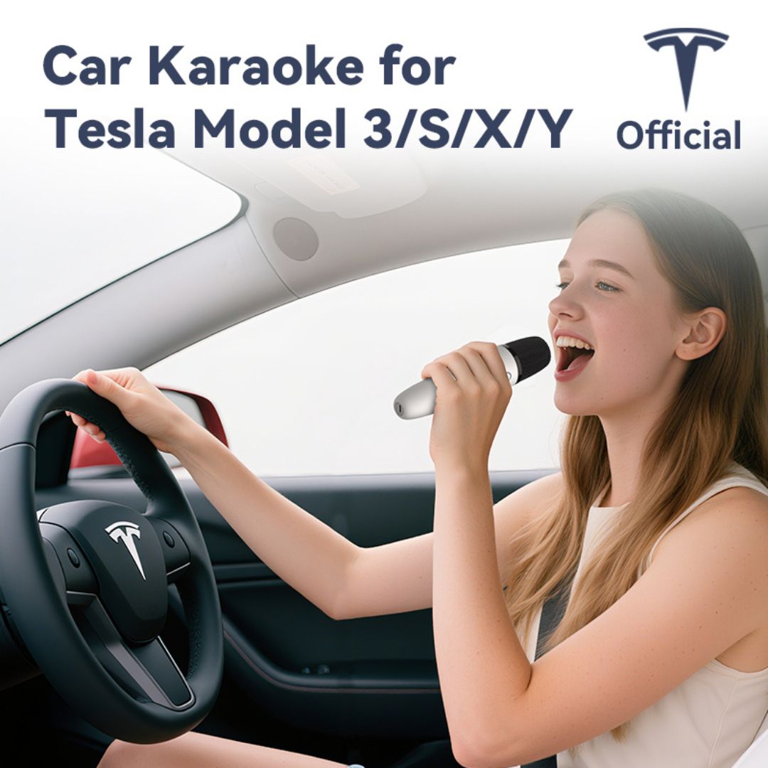 Wireless Karaoke Microphones by LVDonic for Tesla - 2 Microphone Set
