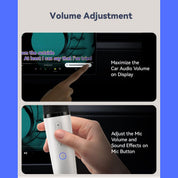 Wireless Karaoke Microphones by LVDonic for Tesla - 2 Microphone Set