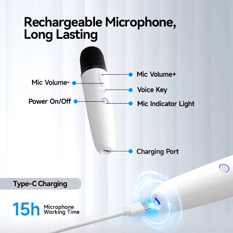 BYD WIRELESS MICROPHONE MIC KARAOKE BYD FACTORY RECHARGEABLE PA SYSTEM EASY TO USE SING USB C 3